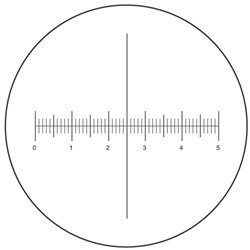 National 965-160: Eyepiece Reticle, 10mm/100Div. 19mm